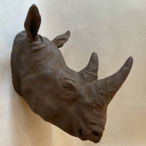 A Resin Rhino Head